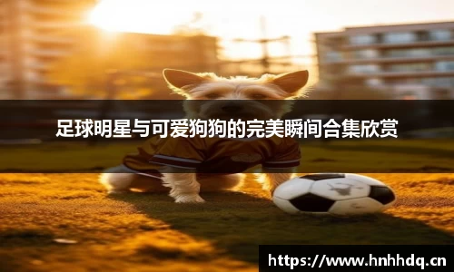 足球明星与可爱狗狗的完美瞬间合集欣赏